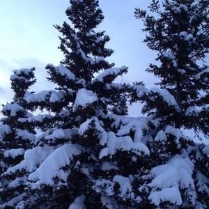 Meet your Posher, Janice